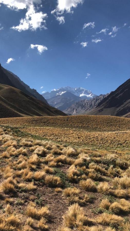 Cabanas Terramaria De Potrerillos Eksteriør bilde